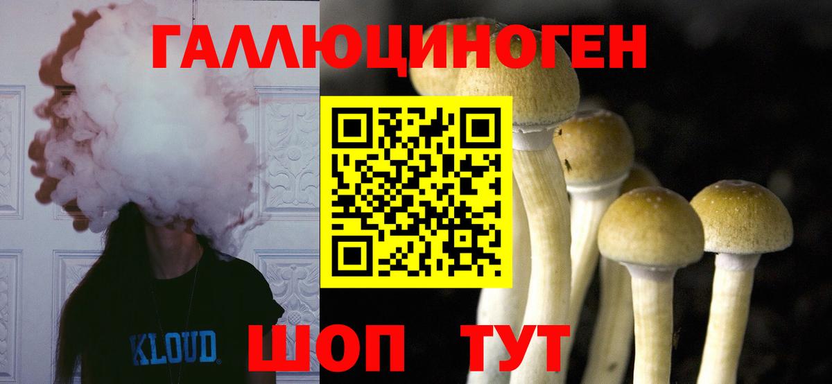 Псилоцибиновые грибы Magic Shrooms  Вход с VPN  купить закладку  Черногорск 